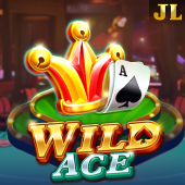 Wild Ace related kuwin789 slot